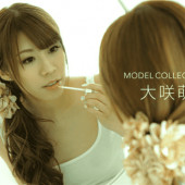 1Pondo 072217_556 Model Collection Osaki Moe
